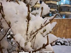 -潘家园(地铁站)