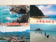 -杨梅坑