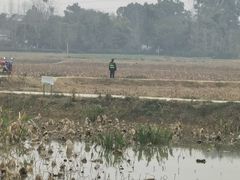 -白鹭湾湿地公园