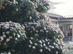 -杭州植物园