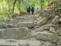 -梧桐山风景名胜区