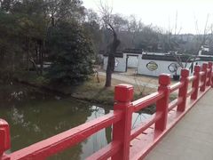 -盆景园(扬州大运河文化旅游度假区)