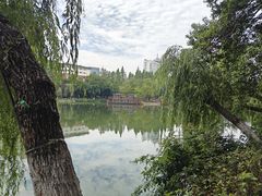 -浮庄