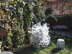 IMG_2434-成桂西餐厅·42年的味道(五大道疙瘩楼店)