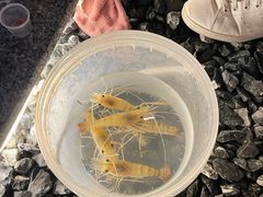 -DGE季风钓虾营地·团建·聚会