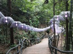 -石燕湖生态旅游景区