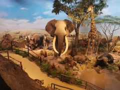 -陕西自然博物馆