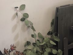 -研途咖啡馆(健康路店)