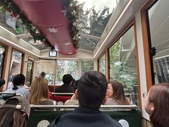 -山顶缆车
