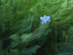 -四川大学(华西校区)