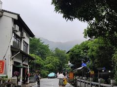 -龙井村