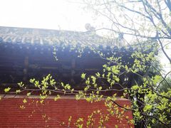 -洛阳白马寺
