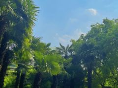 -常州古运河南大街文化旅游区-人民公园