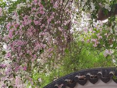 -深圳国际园林花卉博览园