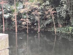 -广州兰圃