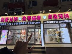 -青奢宠物·青奢猫舍