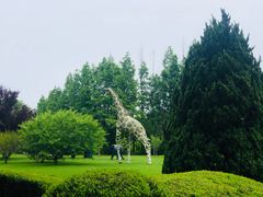-棒棰岛宾馆景区