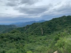 -大岭沟猕猴桃谷风景区