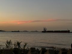 -上海滨江森林公园