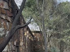 -铜陵市铜官山森林公园