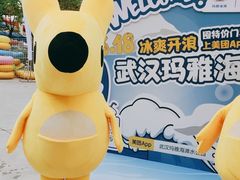 -武汉玛雅海滩水公园