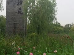 -武清南湖绿博园