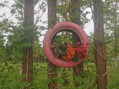 -狼山风景名胜区