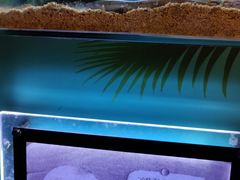 -梦幻海洋王国(吾悦广场张家港店)