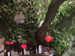 -苏浙徽·农家大院(吴江中山南路店)