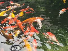 -长春观