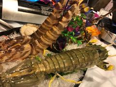 -鲜入围煮花胶鸡海鲜火锅