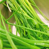 继续鲫鱼下去 这次买两条稍微大点的