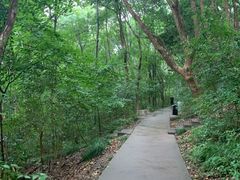 -赭山公园