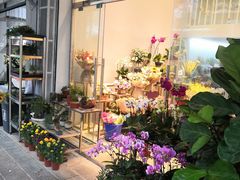 -溪岸路花鸟市场