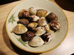 蛤蜊-永福胡椒猪肚鸡 新竹店