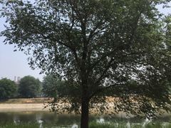 -北运河水利风景区