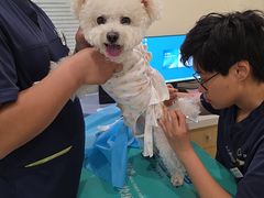 -美迦爱-牙专科·兔科·骨科诊疗中心(北苑店)