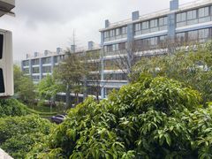 -金陵中学(河西分校)