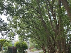 -同里国家湿地公园