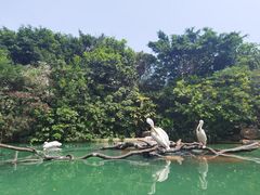-珠海长隆海洋王国