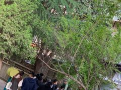 -王虎子大饼(甸柳新村五区店)