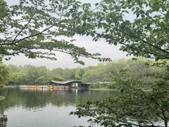 -上海共青森林公园