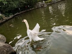 -昆明动物园