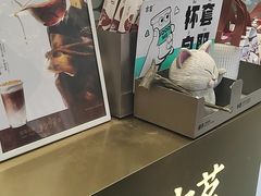 -古茗(安宁金牛街店)