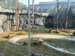 -武汉动物园