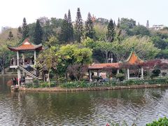 -深圳龙潭公园