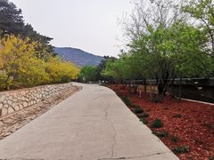 -鬼笑石后山停车场
