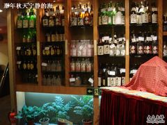 酒架-松子料理(亮马桥店)