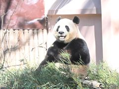 -杭州动物园