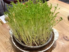 鲜豆苗-好彩猪肚鸡(正弘城店)